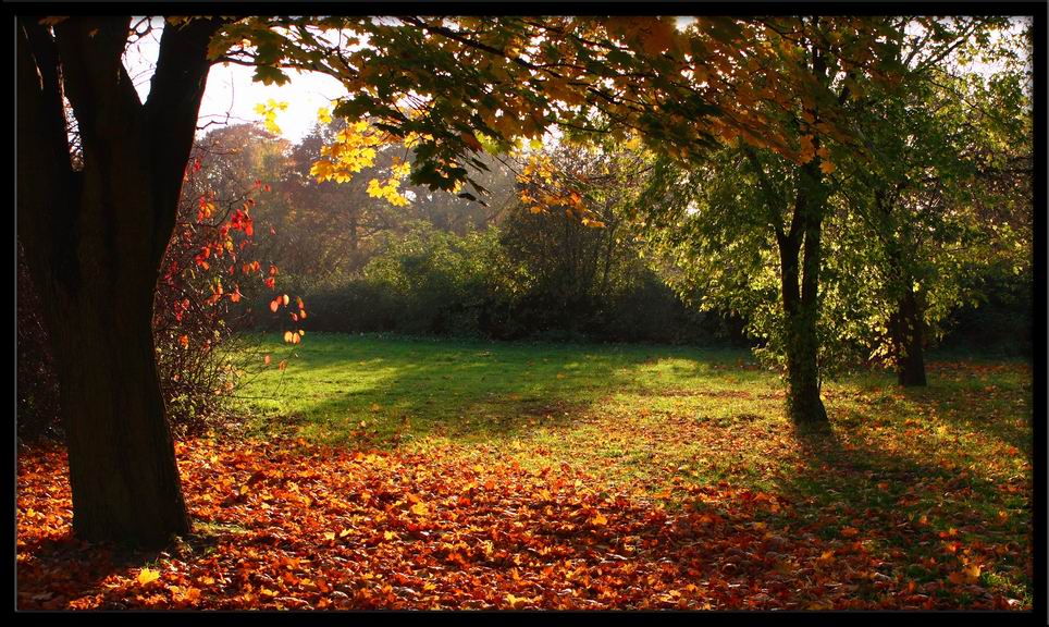 Liegnitz park