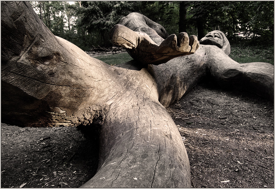 liegt da wie ein Stück Holz