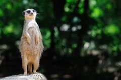 Liegt dort die Außenwelt?