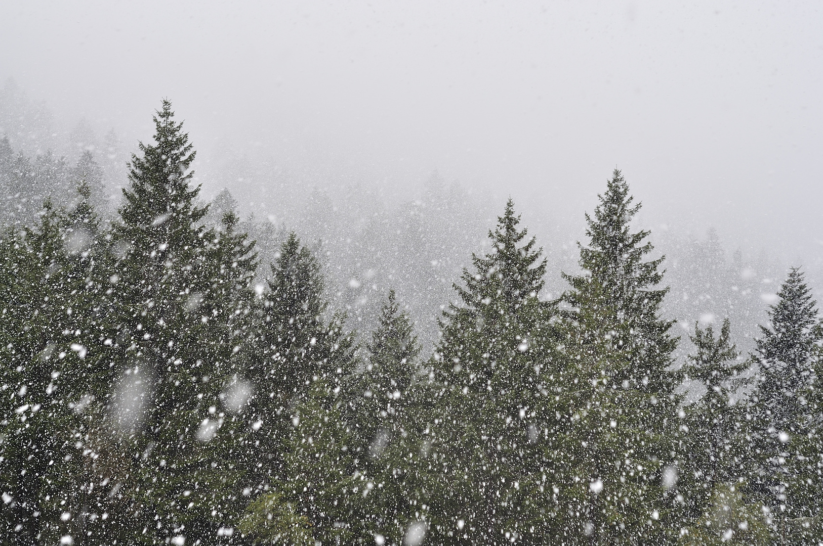 Liegt Schnee am Gländer...