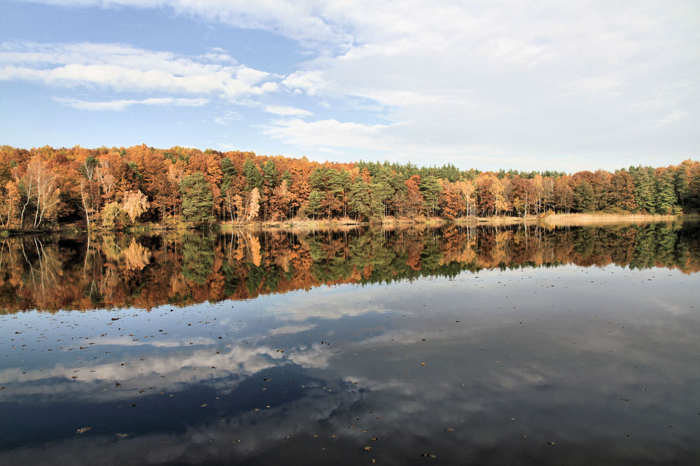 Lienewitzsee