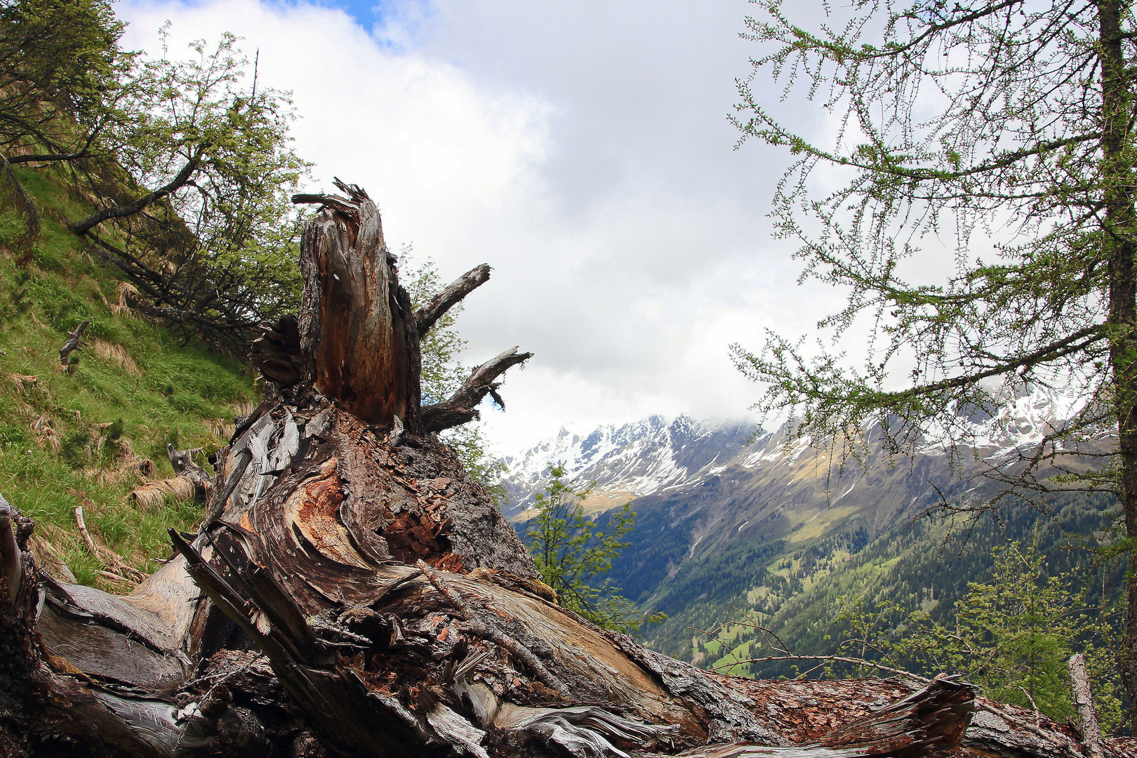 Lienzer Dolomitem