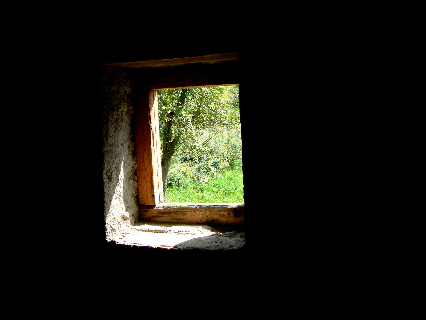 Lienzo interior