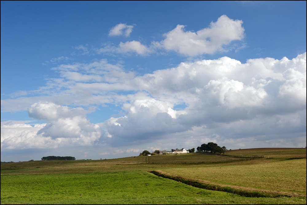 [ Lieper Winkel ]