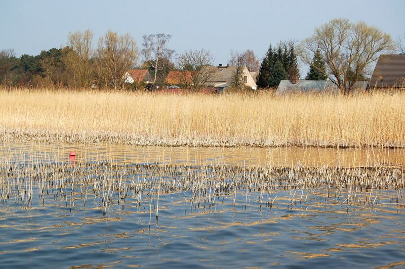 Lieper Winkel - Rankwitz