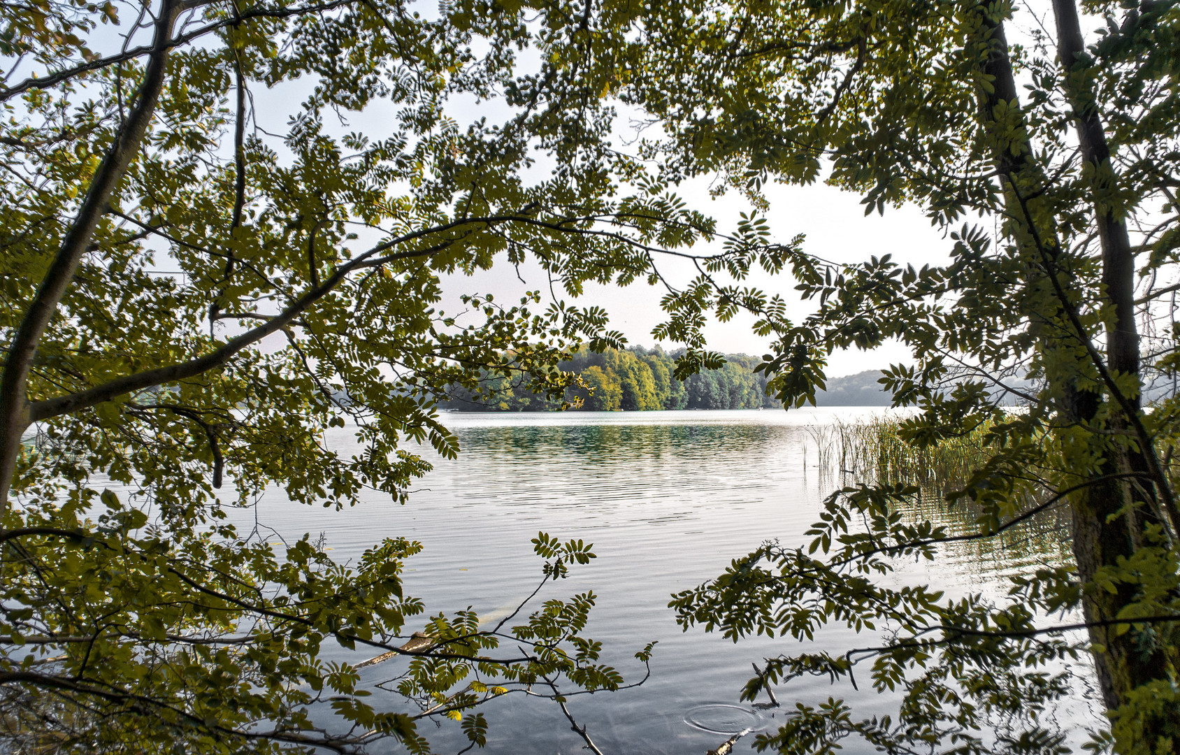 Liepnitzsee bei Wandlitz 02