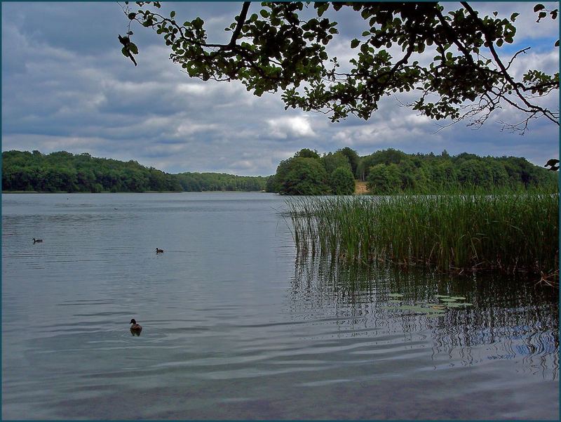 Liepnitzsee in Brandenburg ( Barnim )