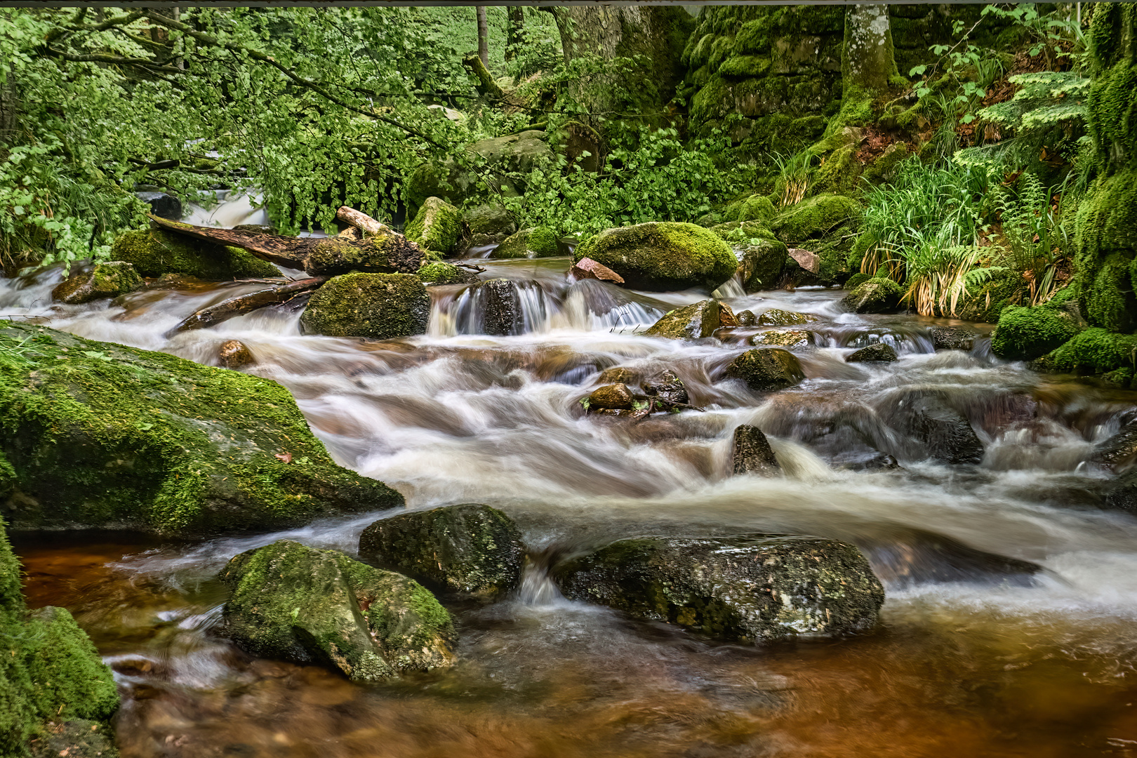 Lierbach | Allerheiligen (Nord-Schwarzwald)