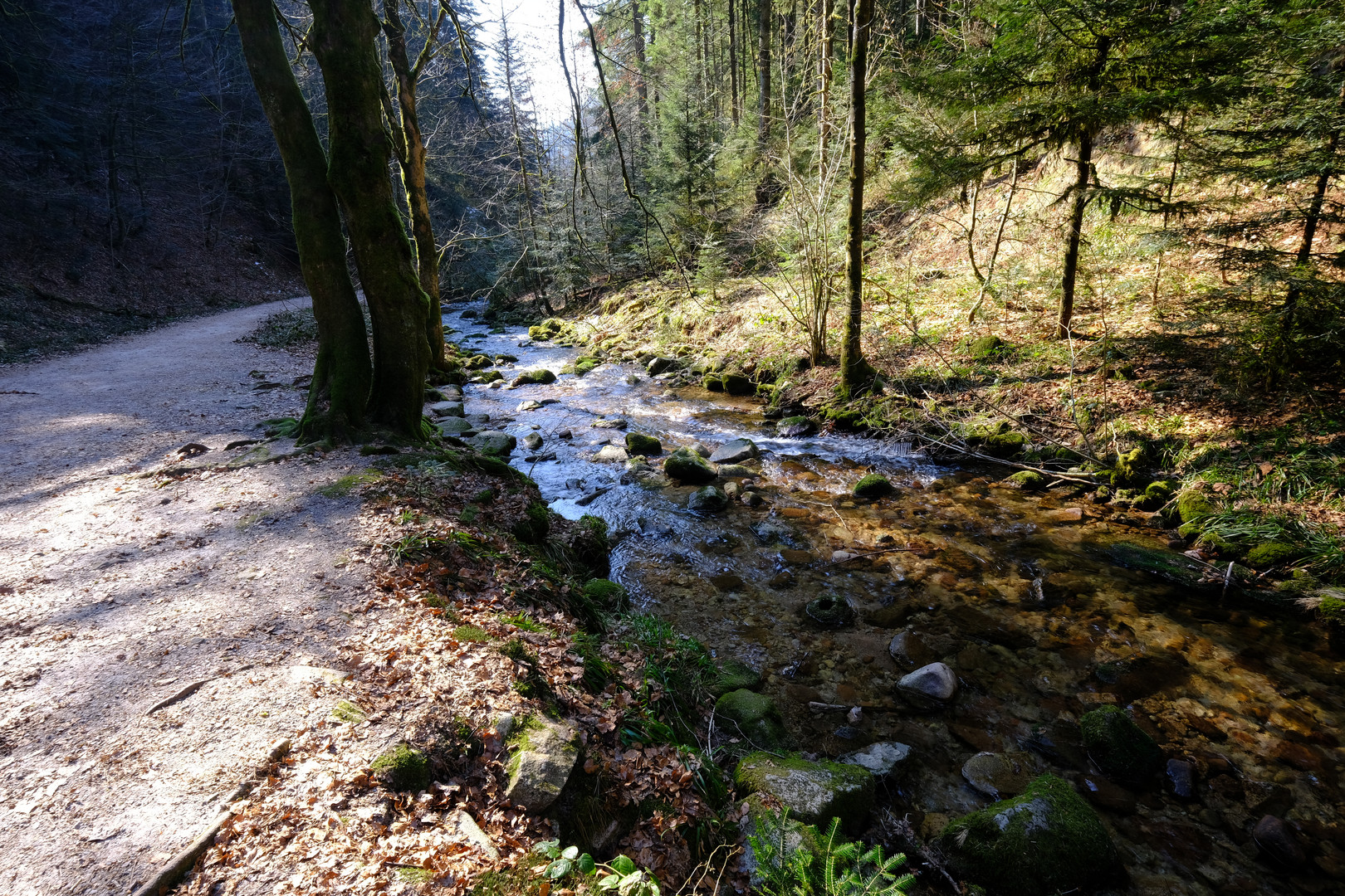 Lierbach (Nordschwarzwald)