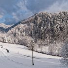 Lierbach Winter II