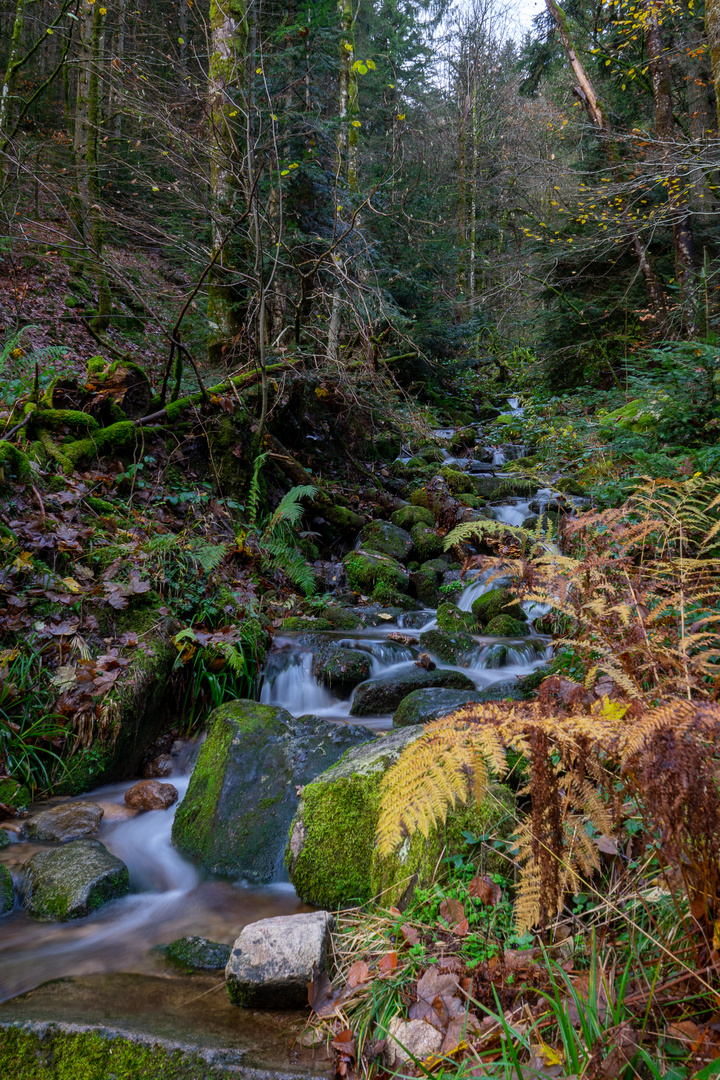 Lierbacher Wasserfall