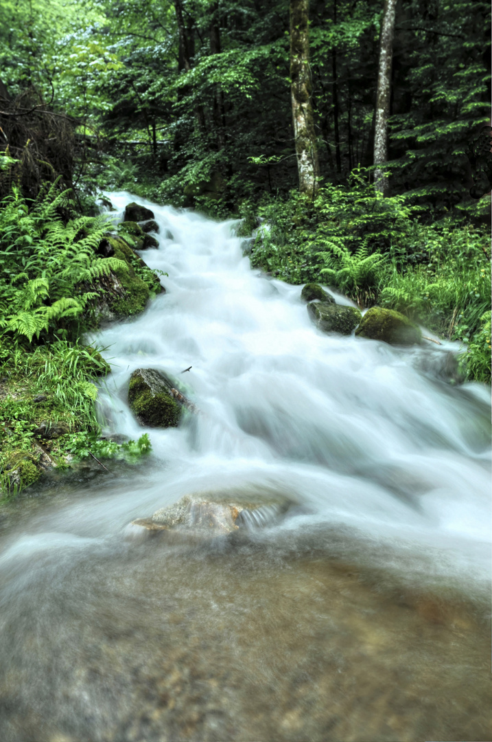 Lierbachtal, Renchtal