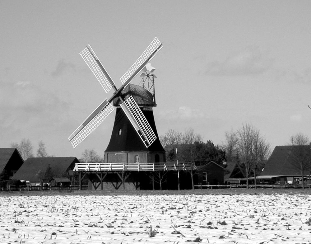 Lieschen Müllers Mühle von Marie-Christine P.