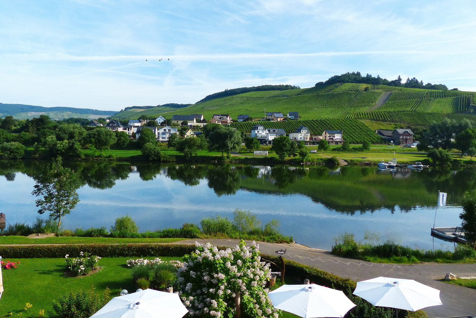 Lieser an der Mosel