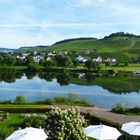 Lieser an der Mosel