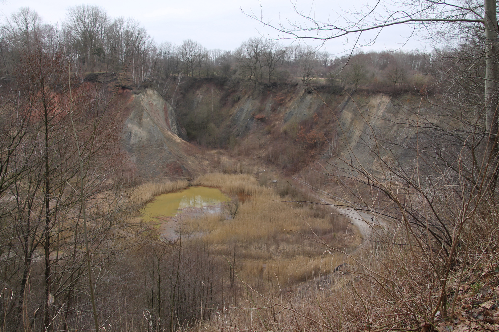 Liether Kalkgrube 1