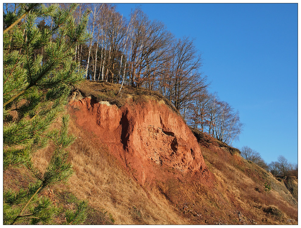 Liether Kalkgrube 2 Foto & Bild deutschland, europe, schleswig