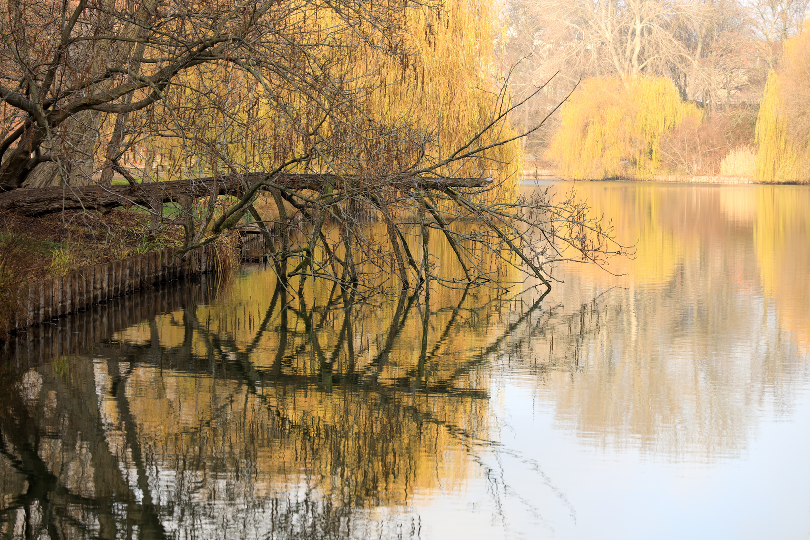 Lietzensee