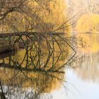 Lietzensee