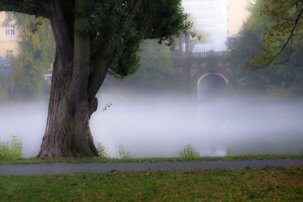 Lietzensee im Herbst