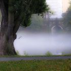 Lietzensee im Herbst