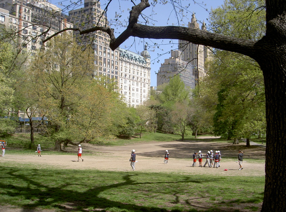 Life at Central Park