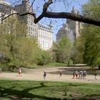 Life at Central Park