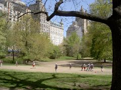 Life at Central Park