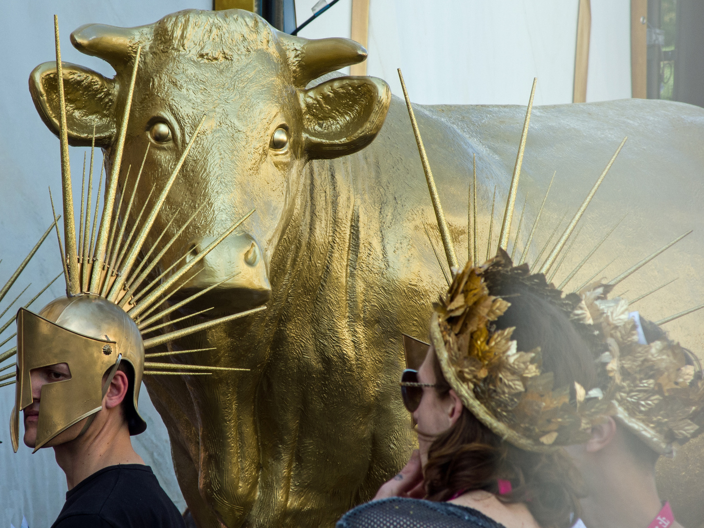 Life Ball 2015 - hier noch in Vorbereitung