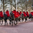 Life Guards cloaked