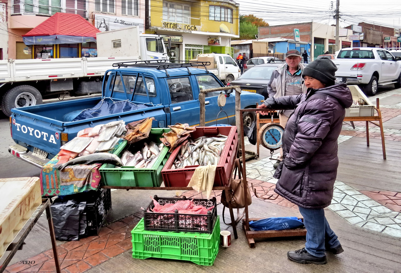 Life in Punta Arenas (2)