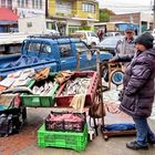 Life in Punta Arenas (2)