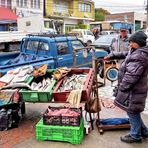 Life in Punta Arenas (2)