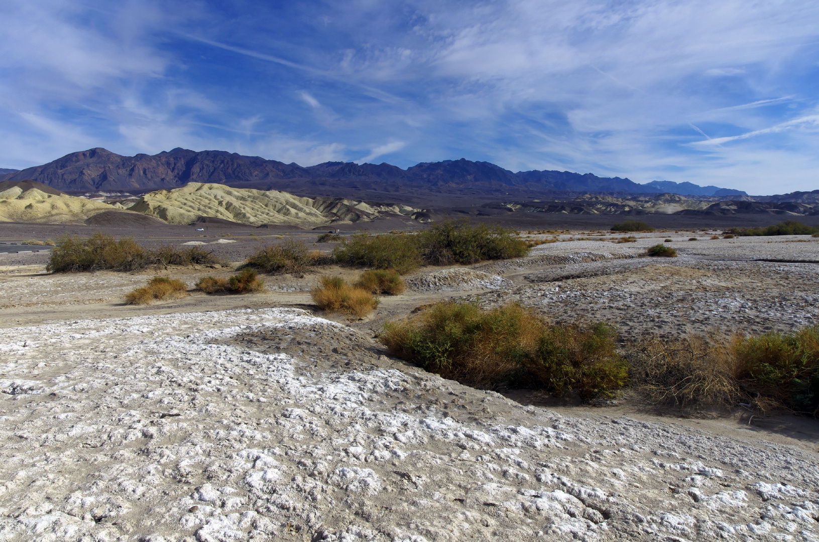 Life in the Death Valley