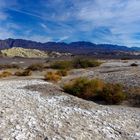 Life in the Death Valley