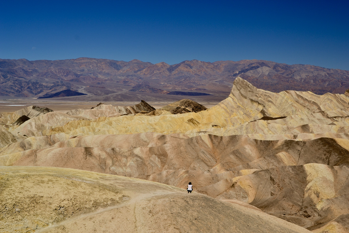 Life in the Death Valley