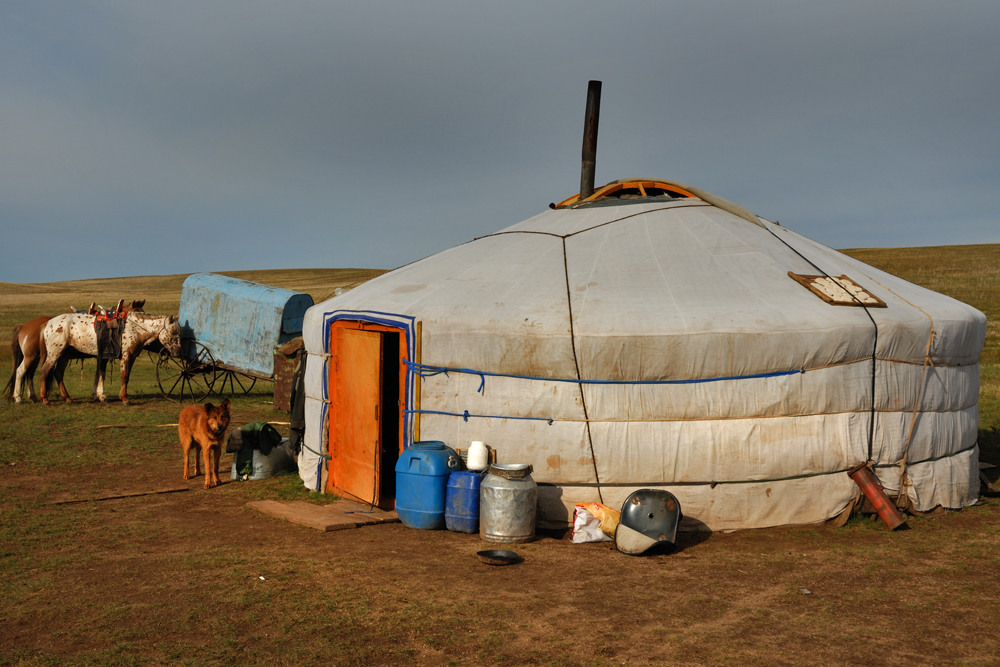 Life in the endless steppe