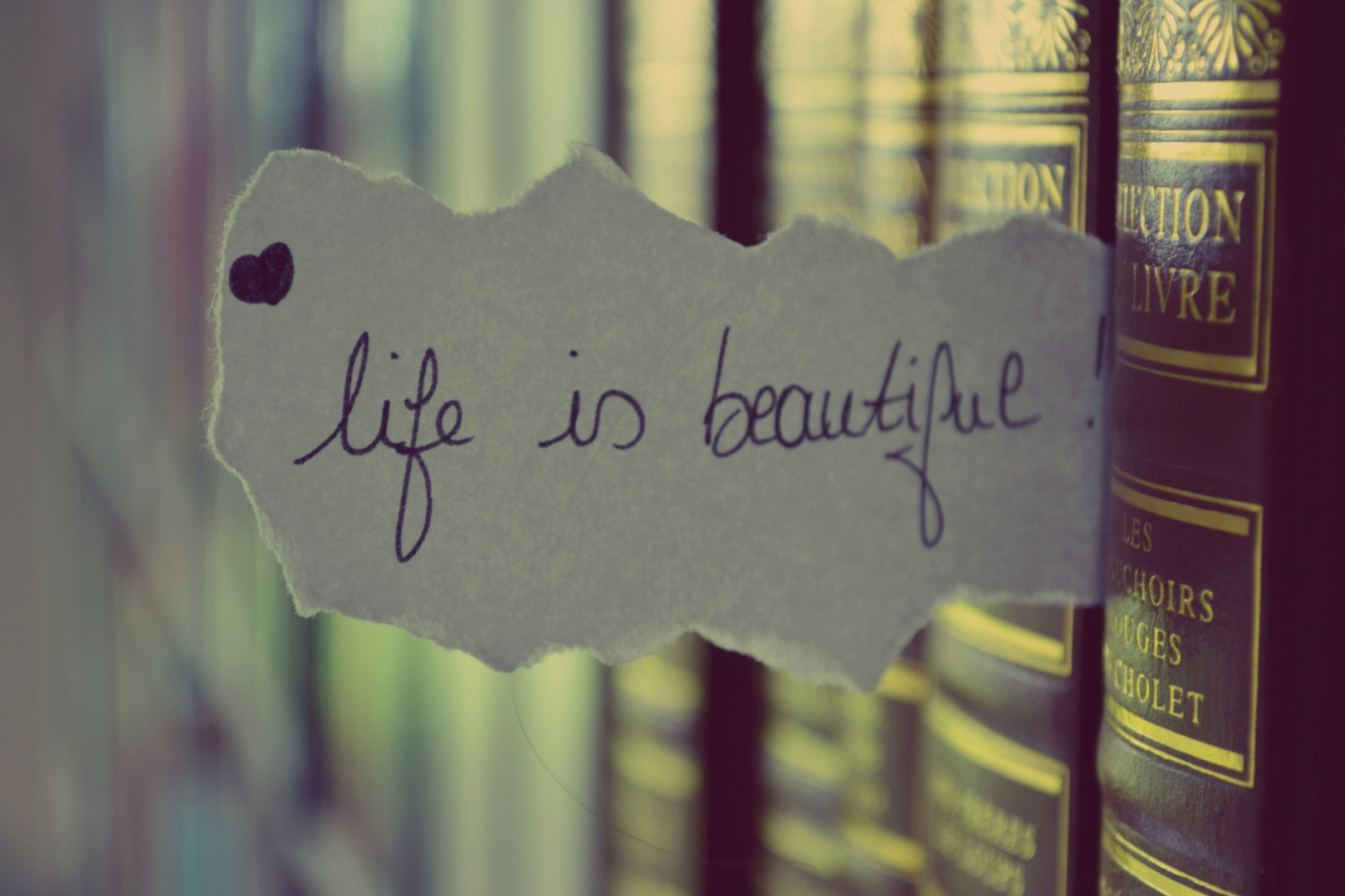 Life is beautiful !