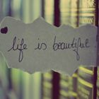 Life is beautiful !