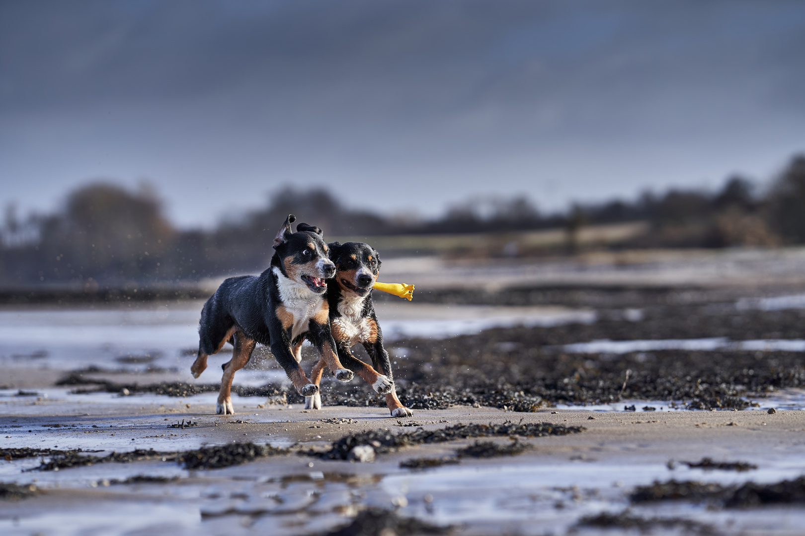 Life is better at the beach!