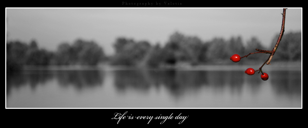 Life is every single day.