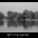 Life is every single day.