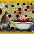 Life is just a bowl of cherries