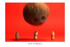 Life is short (Bild 1 von 2)