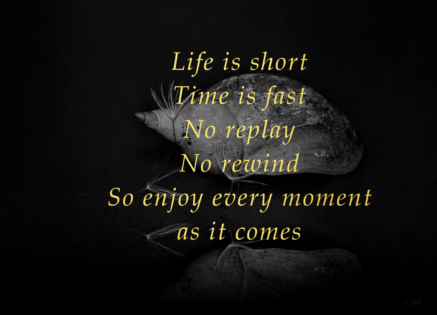 Life is short...