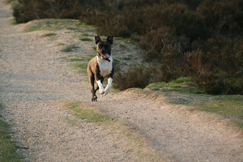 Life is sweet let's Jump!