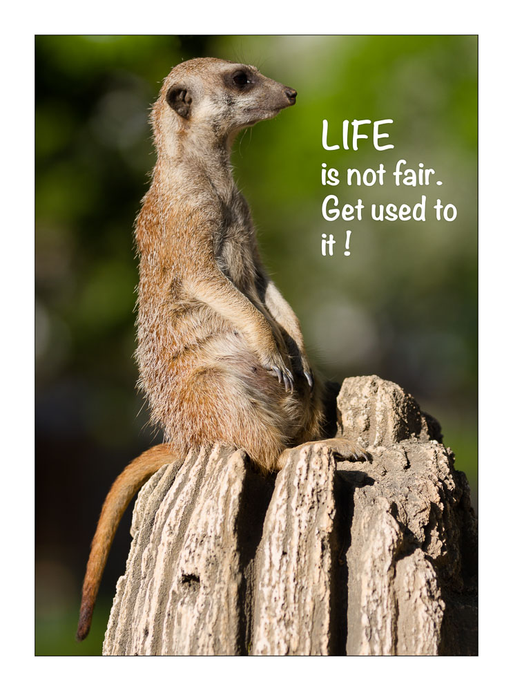 Life isn´t fair!