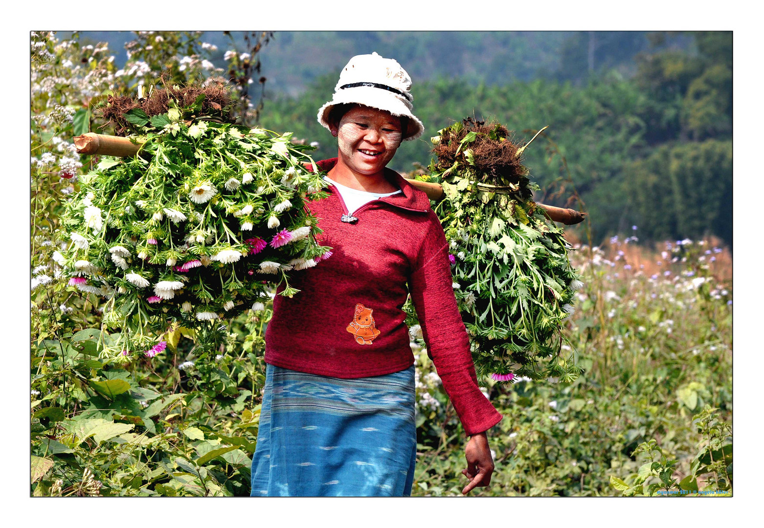 life of myanmar VIII