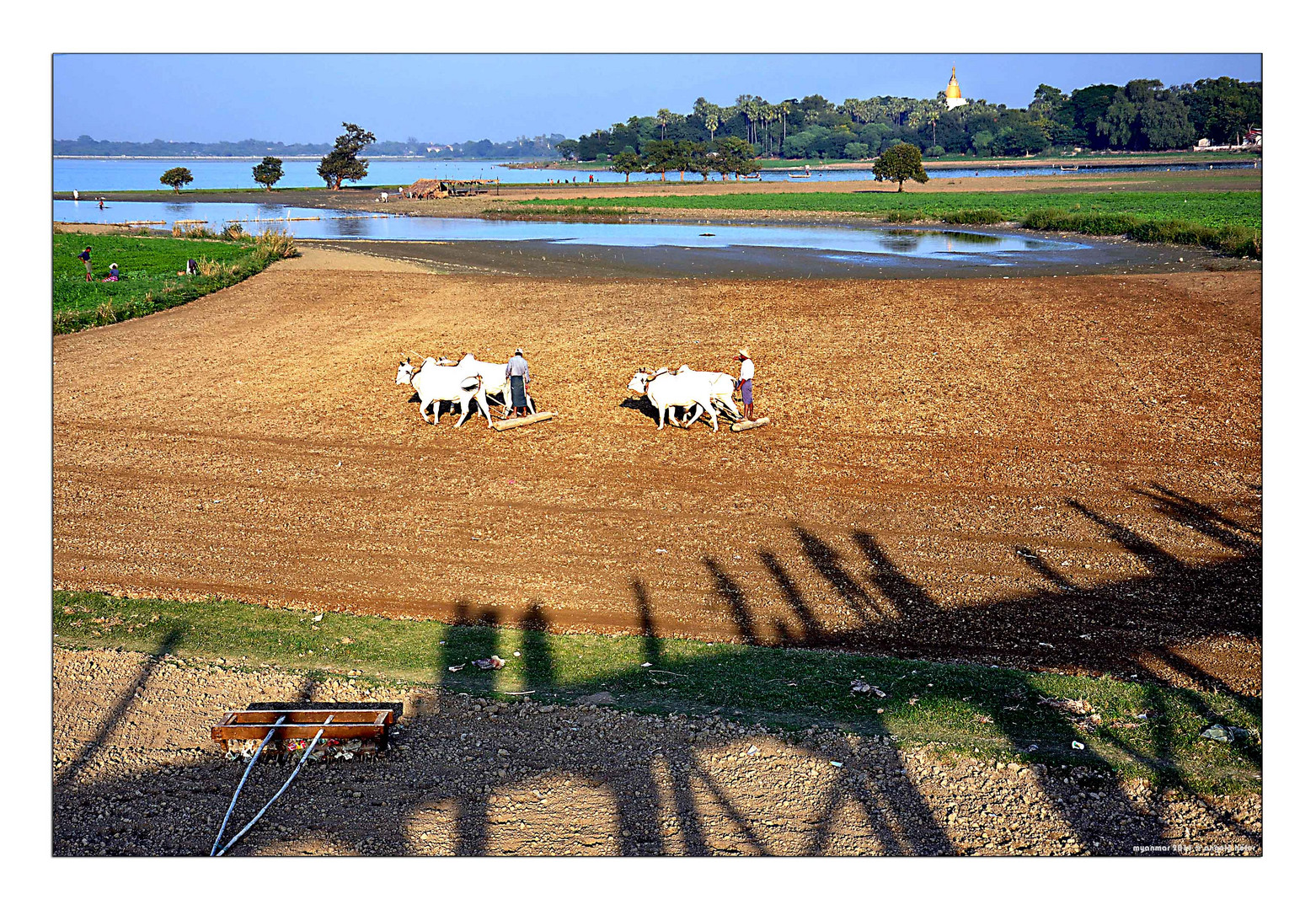 life of myanmar XIII