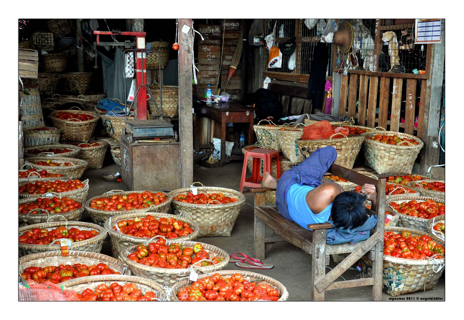 life of myanmar XIX